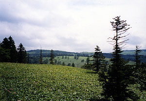 美幌峠