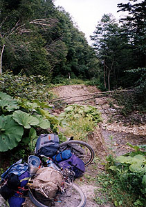 常呂川本流林道