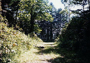 静狩峠