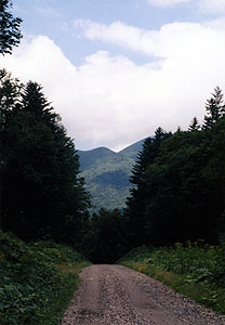 十石峠遠景