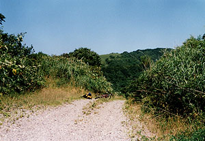 吉岡峠