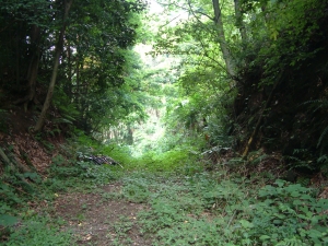 芦原峠