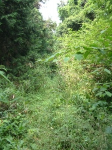 芦原峠道