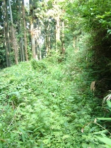 千早峠：奈良側