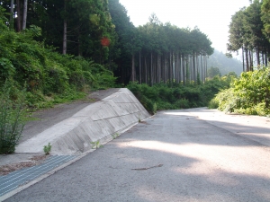 千早峠：奈良側