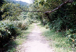 深坂峠道