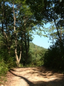 郷ノ峠