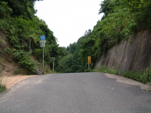 芋ヶ峠