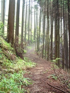 久留野峠道