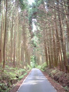 桜峠