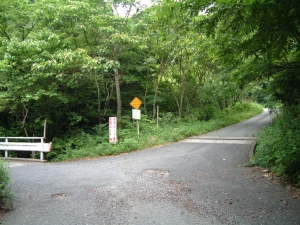 新道峠道分岐