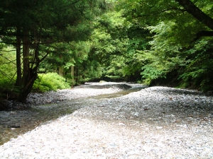 白瀬峠・茨川