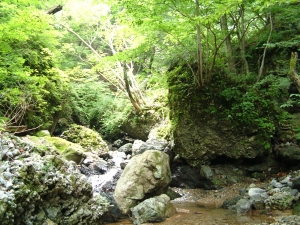 白瀬峠・さざれ石三連星