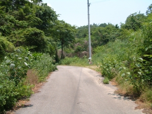 土仏峠：車道