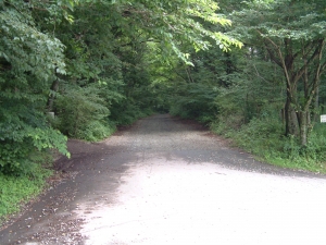 入山峠道・軽井沢側