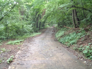 入山峠道・松井田町側