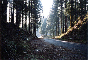 嘉麻峠