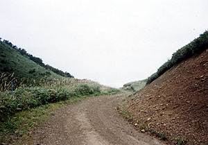 高倉峠全景