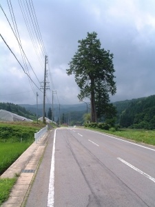 山中峠道