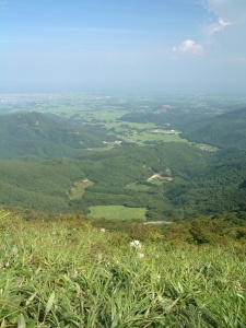 郡山市街