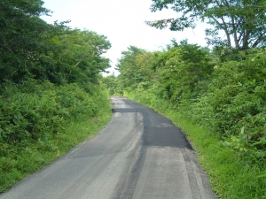 板谷峠道・板谷側