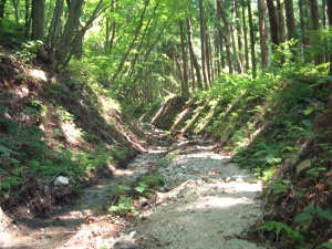 西側峠道