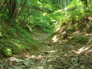 峠直下のつづら