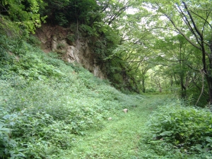 峠道・山形側