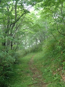 旧仙岩峠道